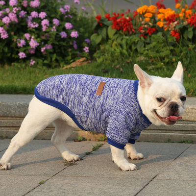 Améliorez la garde-robe d'hiver de votre animal de compagnie avec des vêtements de designers de mode