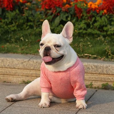 Polyester Tricoté Jumpers pour chiens Sweaters pour petits chiens Vêtements de luxe Type d'accessoire
