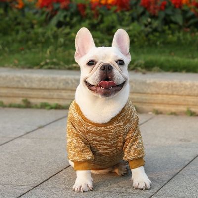 Commodes animaux de compagnie durables T-shirts pour chiens et chats Vêtements accessoires type pulls pulls