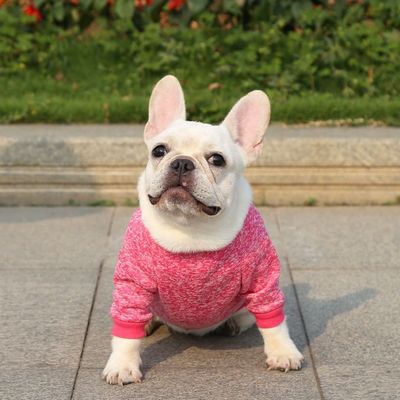 Commodes animaux de compagnie durables T-shirts pour chiens et chats Vêtements accessoires type pulls pulls