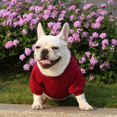 Commodes animaux de compagnie durables T-shirts pour chiens et chats Vêtements accessoires type pulls pulls