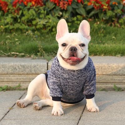 Vêtements pour chiens pour animaux de compagnie d'automne et d'hiver en polyester Vêtements chauds épais pour petits chiens XS-XXL