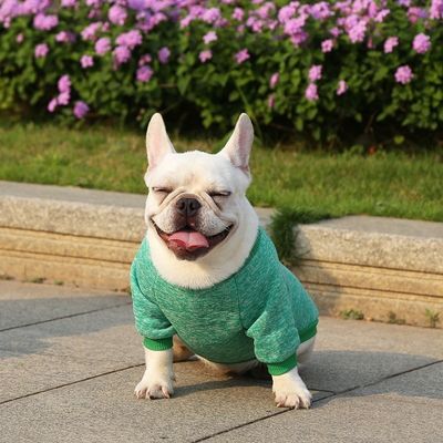 Vêtements de chiot tricotés Matériau en polyester à motifs solides pour votre compagnon à quatre pattes