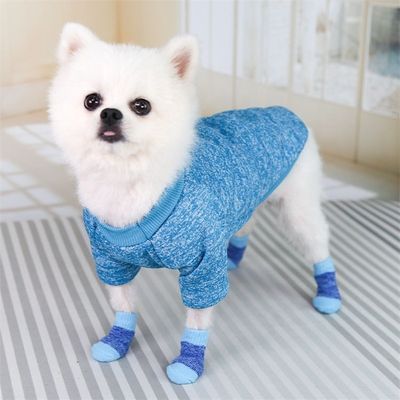 Restez à la mode et confortable avec ces chaussettes rose/bleu pour chiens