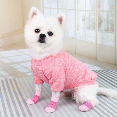 Restez à la mode et confortable avec ces chaussettes rose/bleu pour chiens