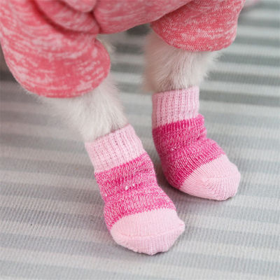Restez à la mode et confortable avec ces chaussettes rose/bleu pour chiens