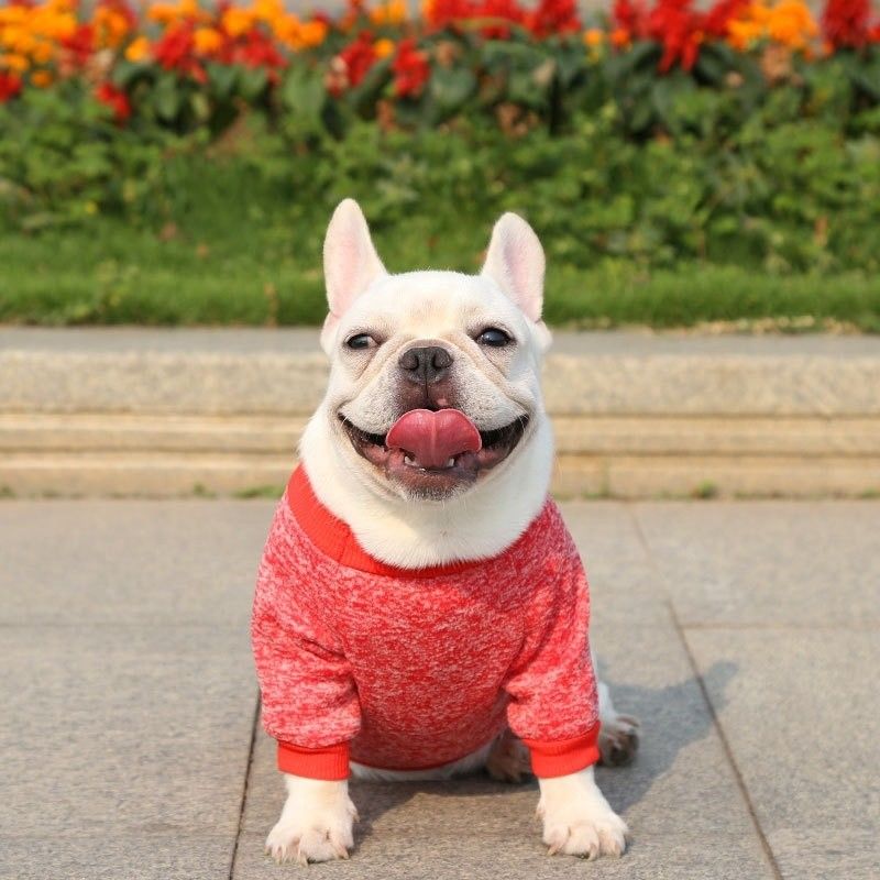 Polyester Tricoté Jumpers pour chiens Sweaters pour petits chiens Vêtements de luxe Type d'accessoire